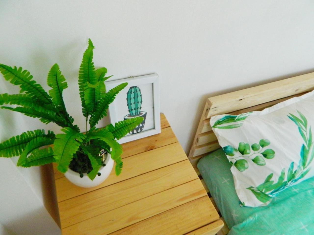 Homestay Trop Home 岘港 外观 照片